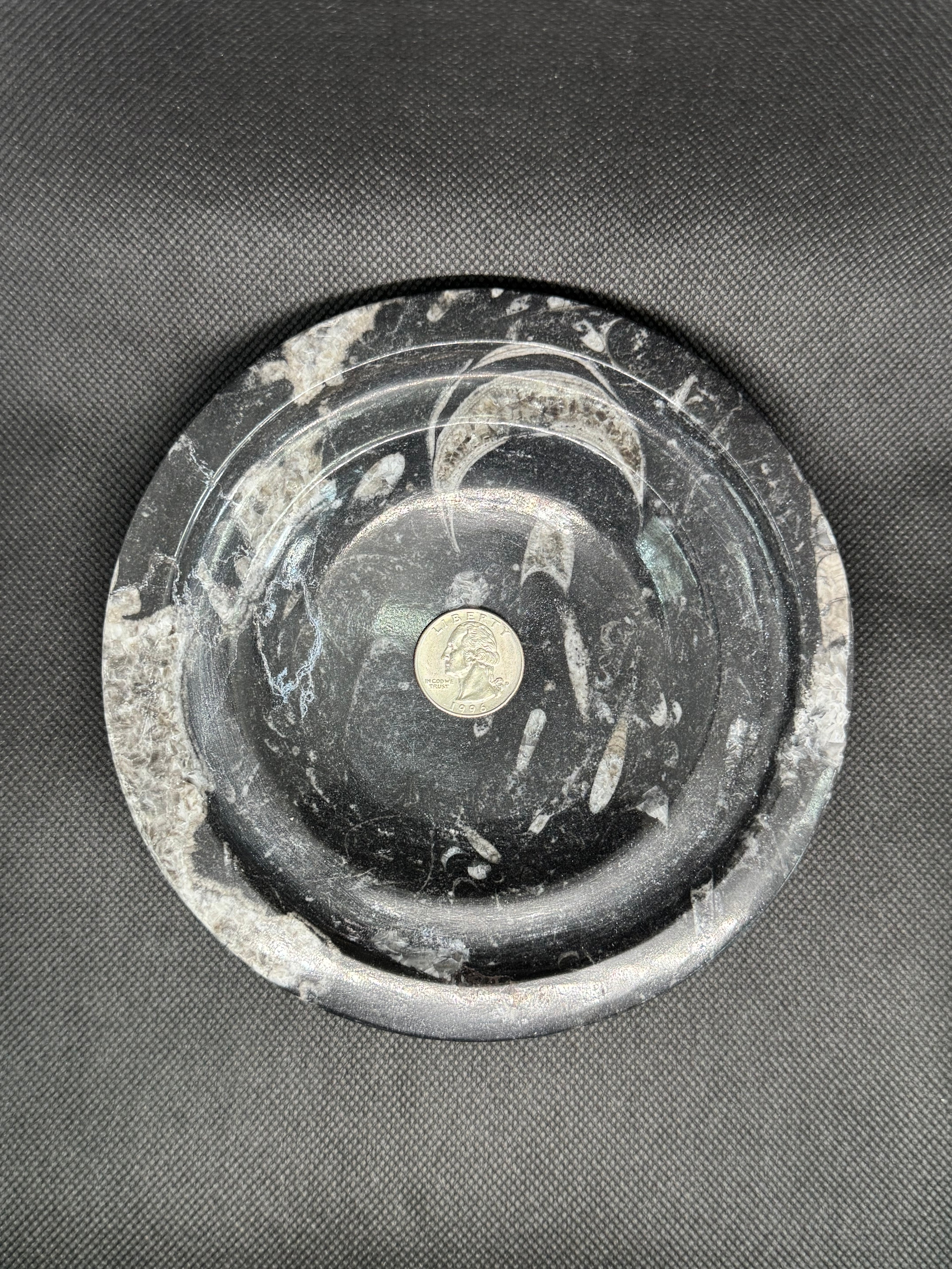 Fossil Box