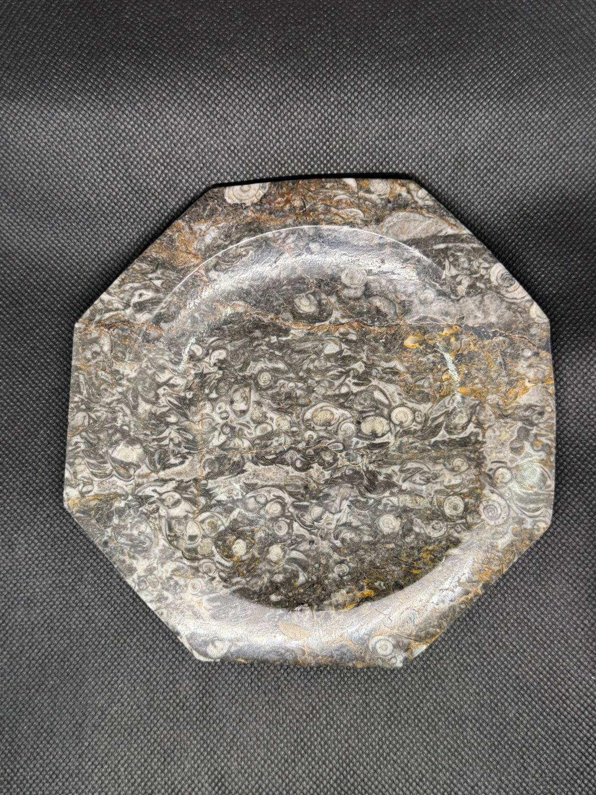 Fossil Plate