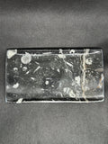 Fossil Plate
