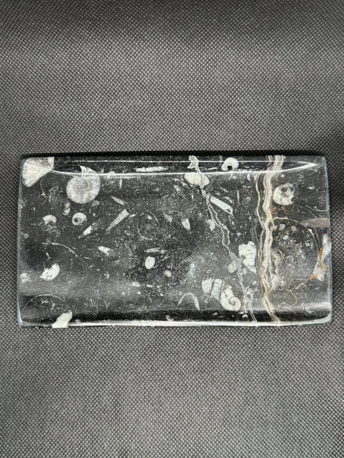 Fossil Plate