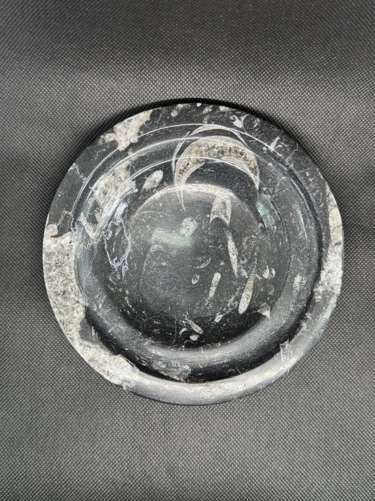 Fossil Box