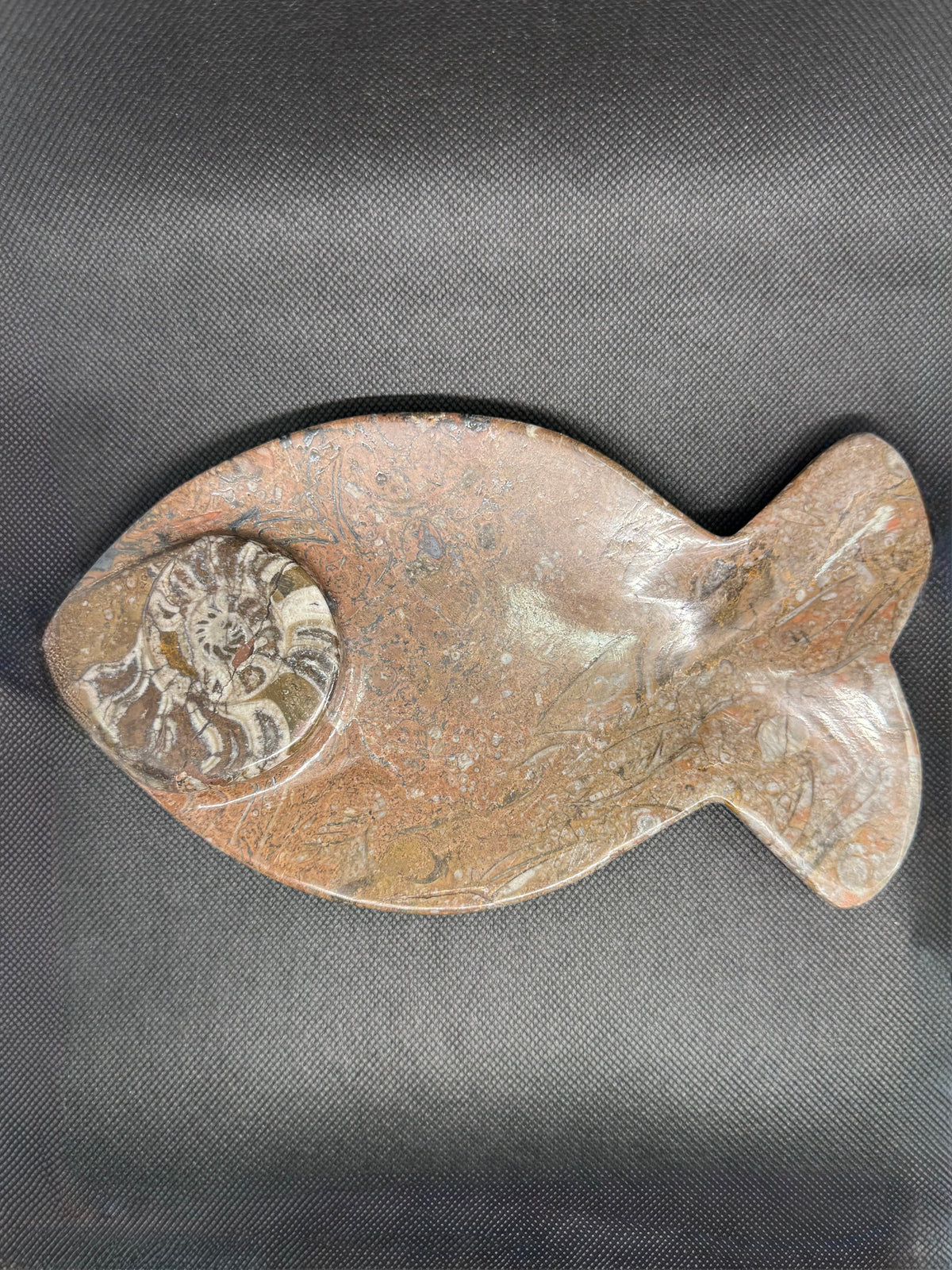 Fossil Plate