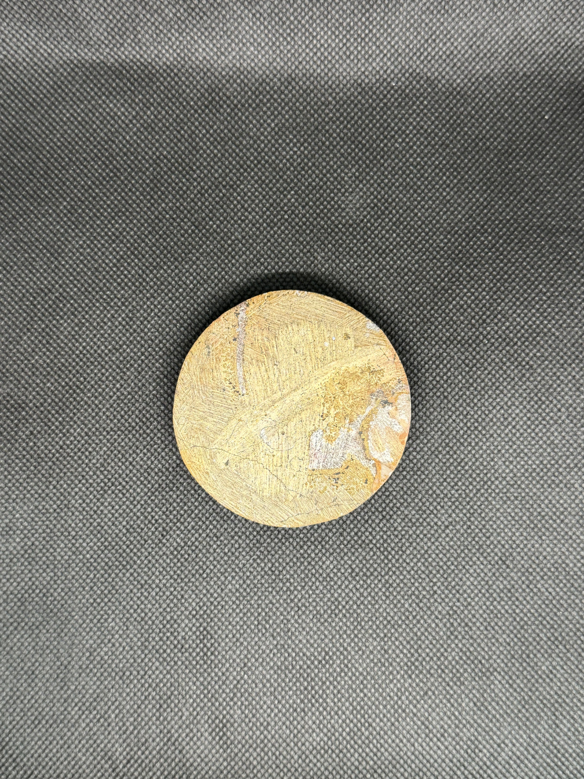 Ammonite