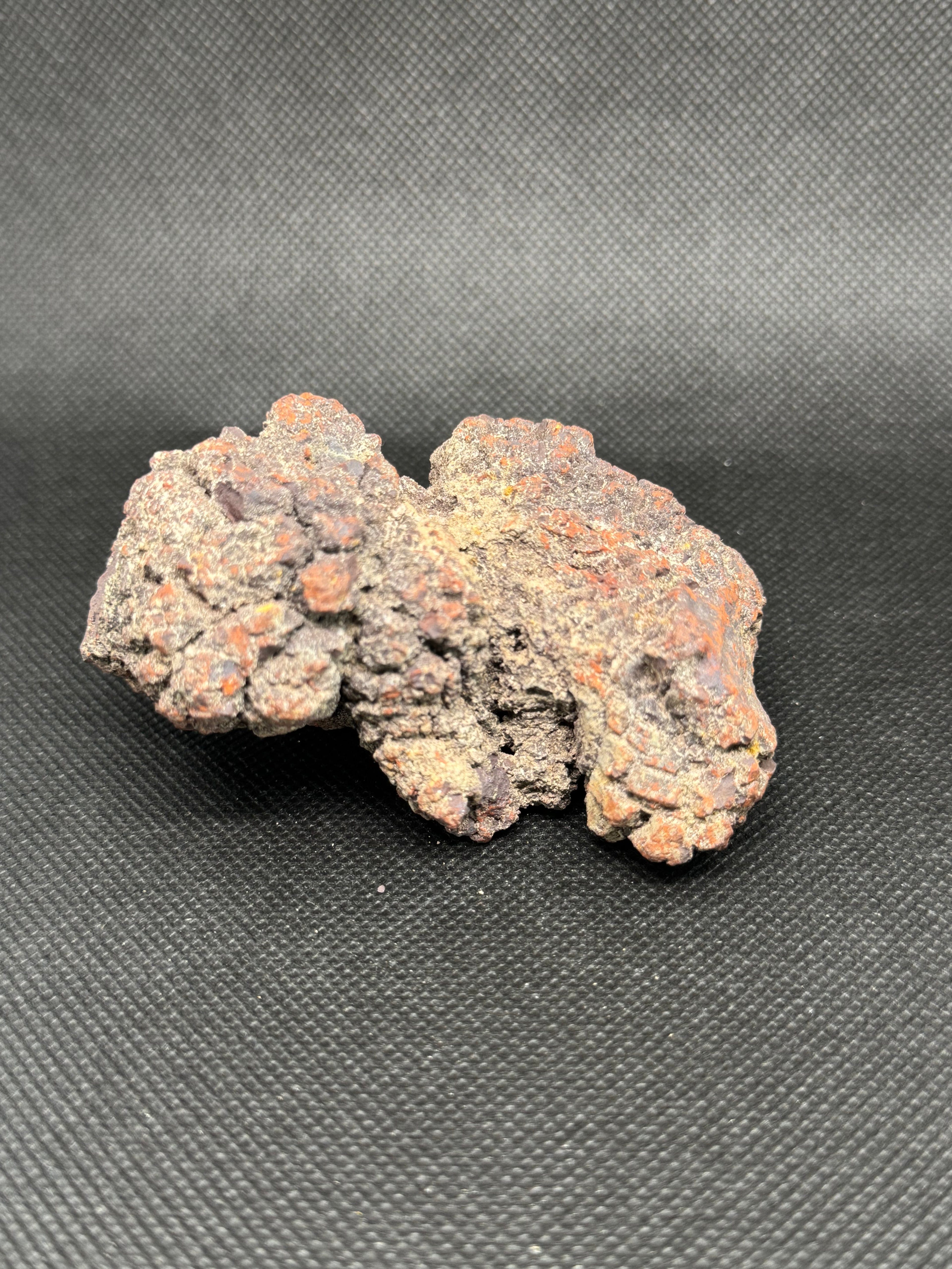 Coprolite