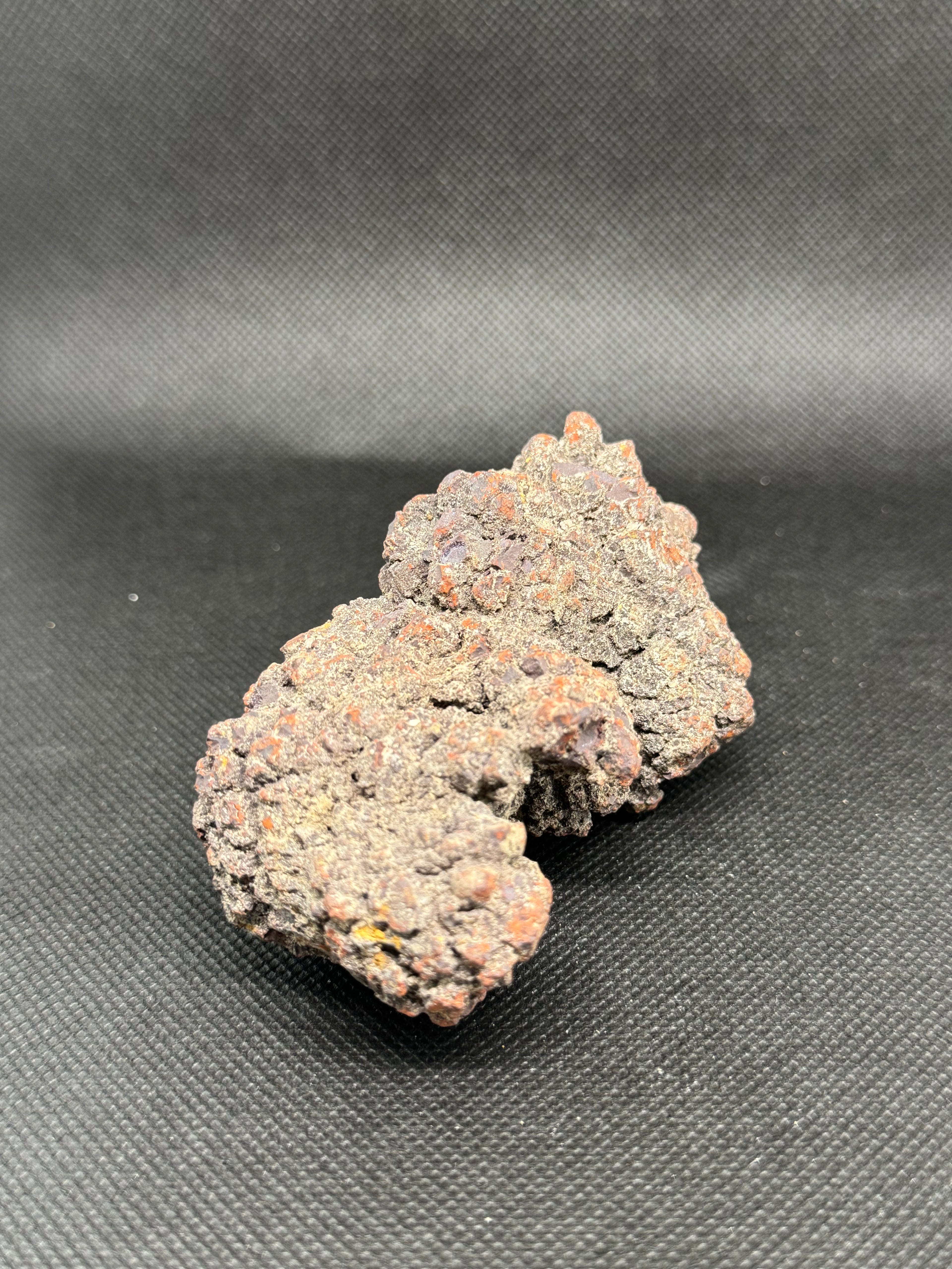 Coprolite